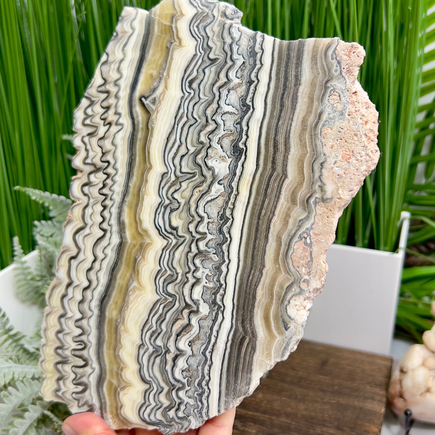 Large Zebra Calcite Slice Healing Crystal Specimen Slab 864g