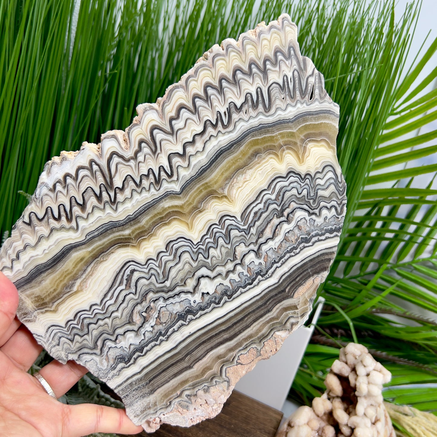 Large Zebra Calcite Slice Healing Crystal Specimen Slab 864g