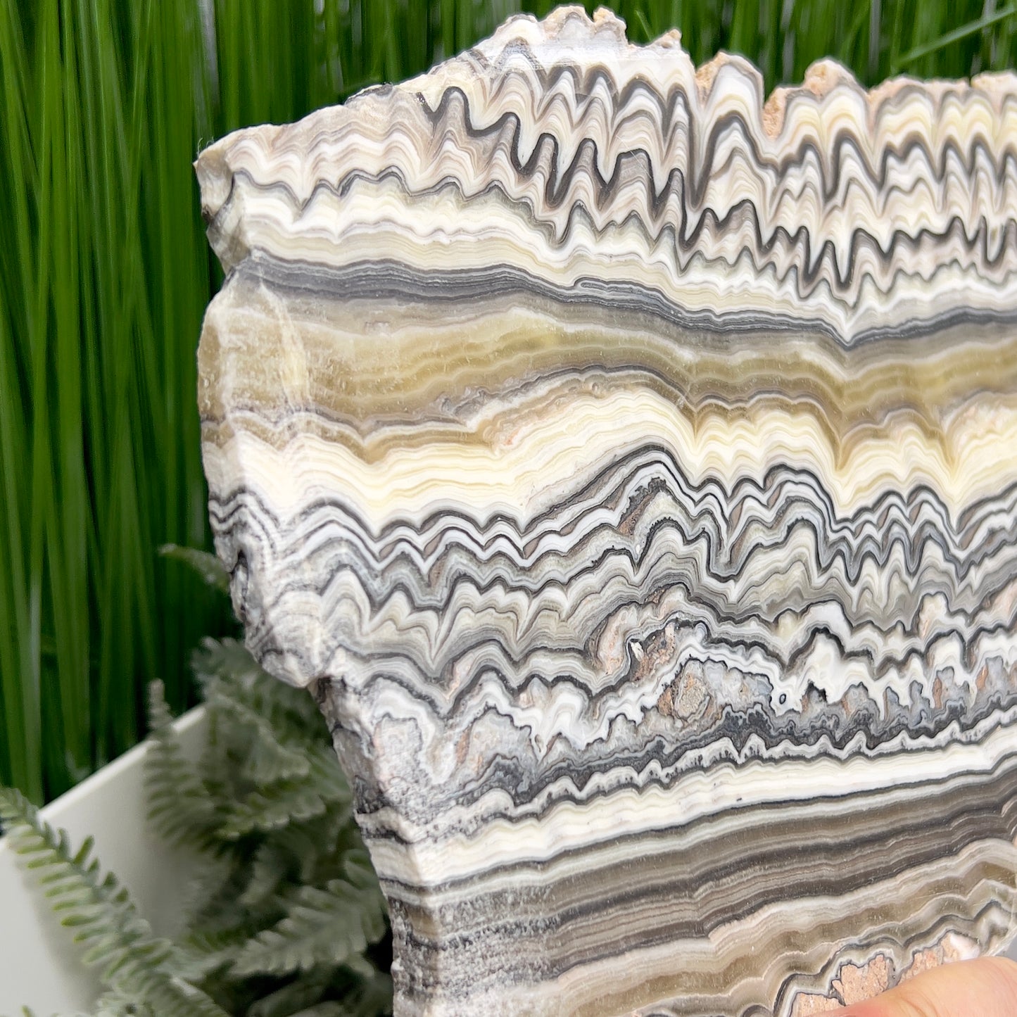 Large Zebra Calcite Slice Healing Crystal Specimen Slab 864g
