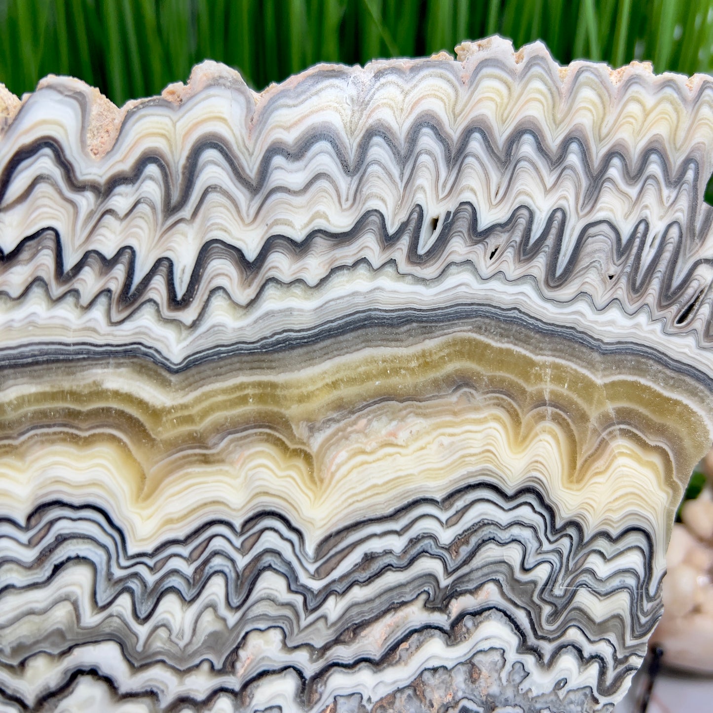 Large Zebra Calcite Slice Healing Crystal Specimen Slab 864g