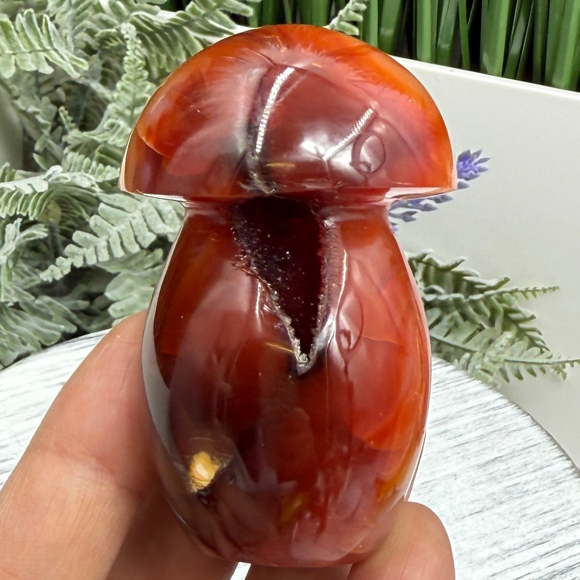 Carnelian Mushroon Healing Crystal Ornament 150g