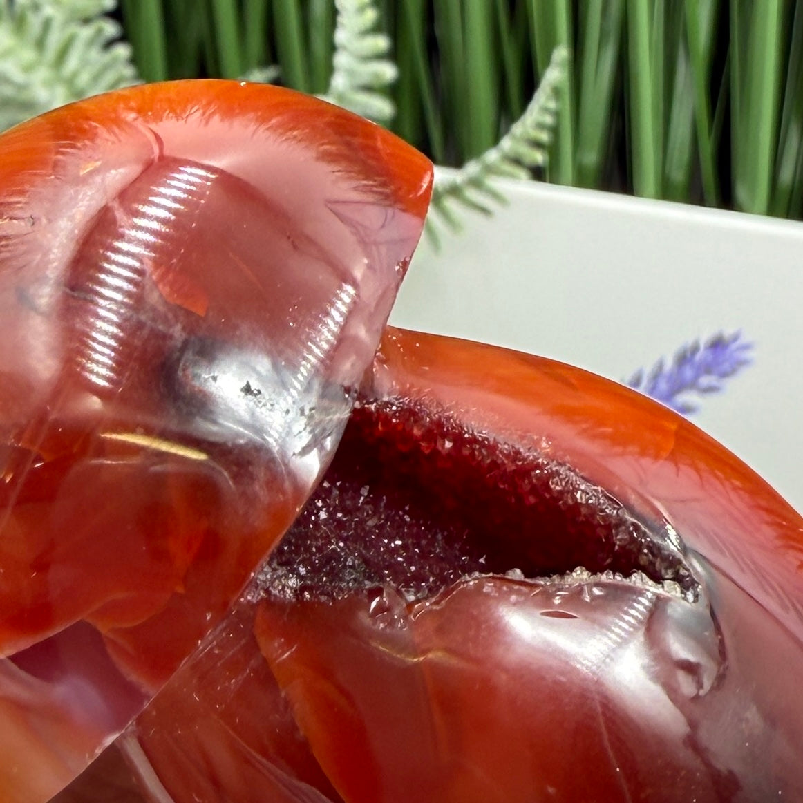 Carnelian Mushroon Healing Crystal Ornament 150g
