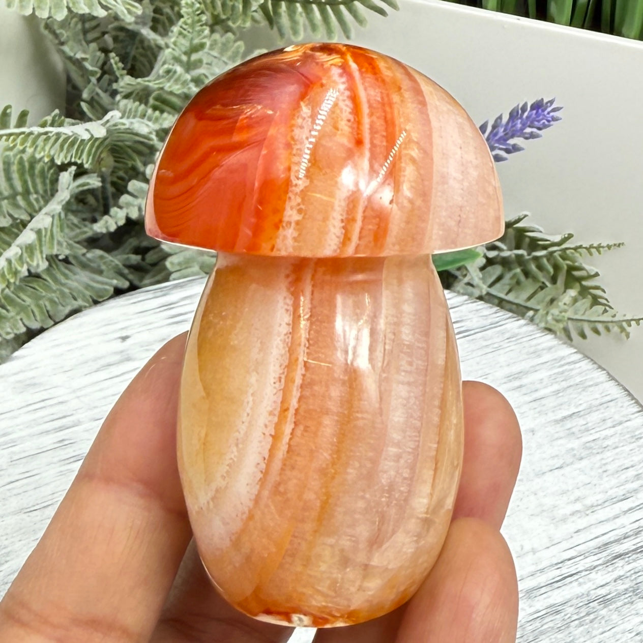 Carnelian Mushroon Healing Crystal Ornament 156g