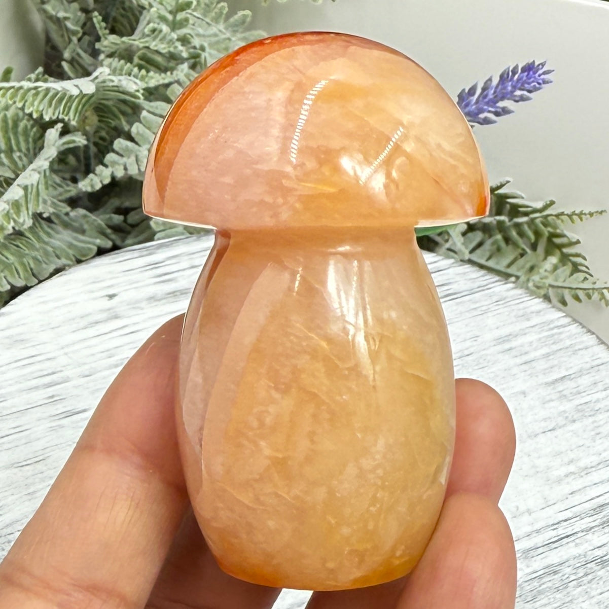 Carnelian Mushroon Healing Crystal Ornament 156g