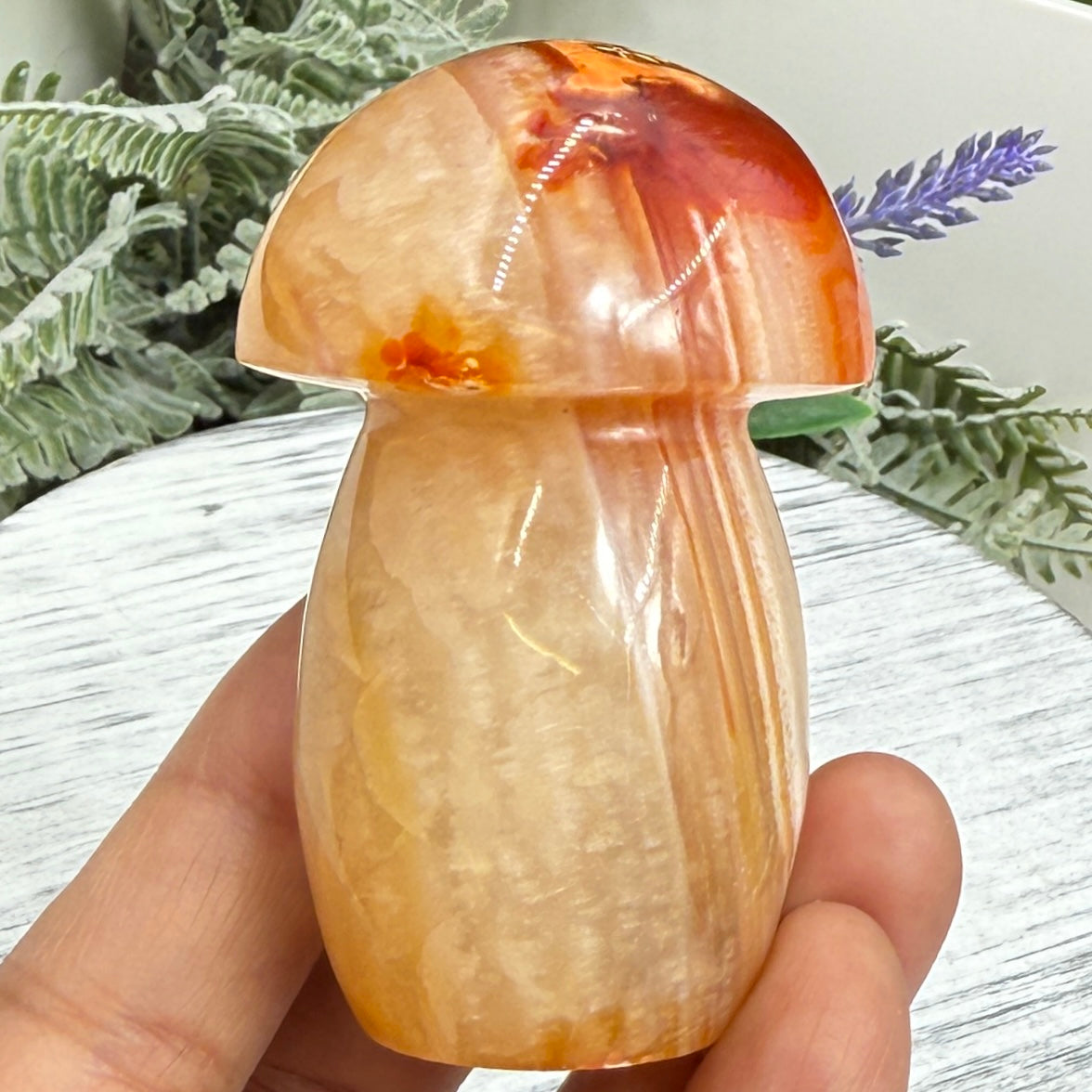Carnelian Mushroon Healing Crystal Ornament 156g