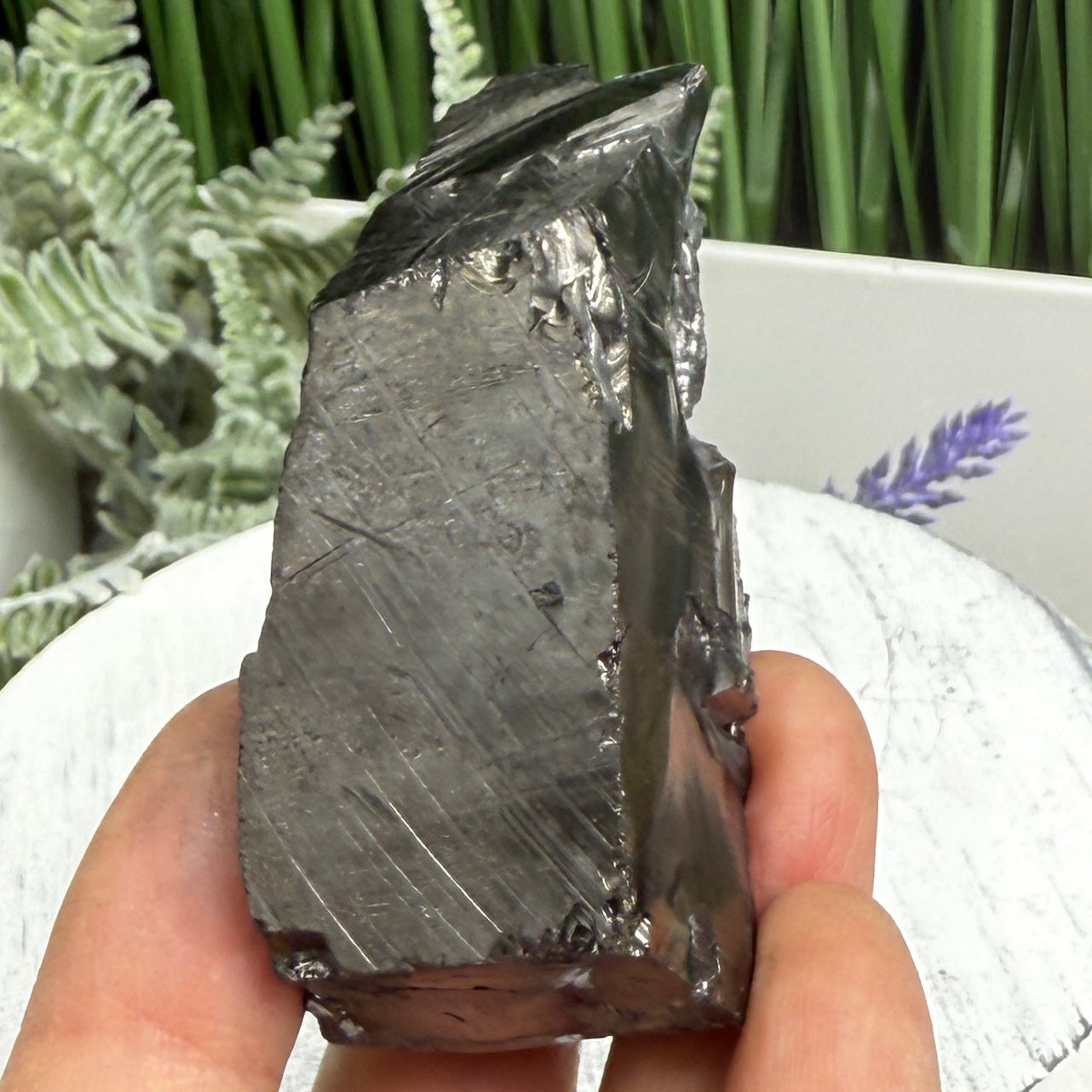 Elite Noble Shungite Raw Chunks Crystal Specimen EMF Protection 63g