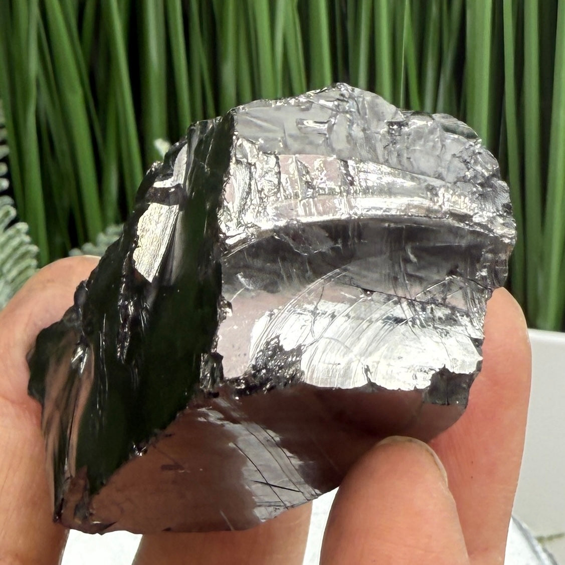 Elite Noble Shungite Raw Chunks Crystal Specimen EMF Protection 63g