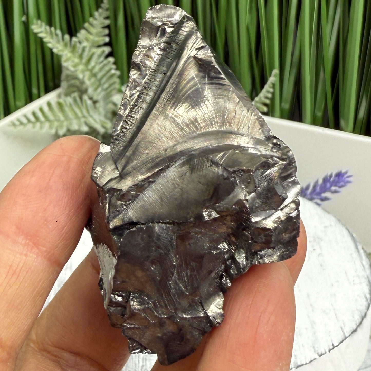 Elite Noble Shungite Raw Chunks Crystal Specimen EMF Protection 53g