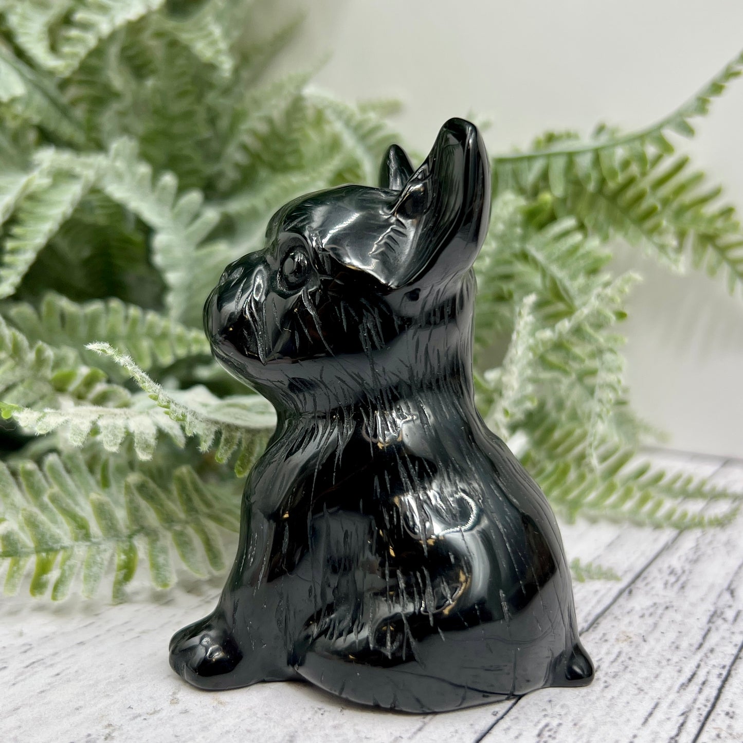 Black Obsidian French Bull Dog Puppy Animal Crystal Carving 190g