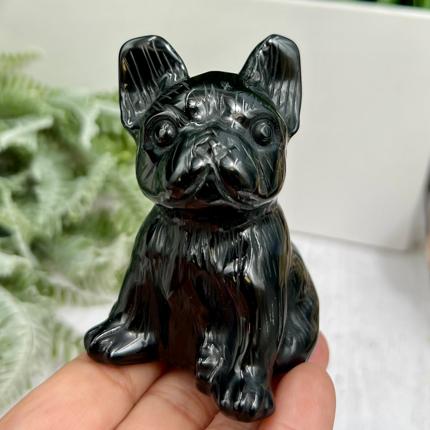 Black Obsidian French Bull Dog Puppy Animal Crystal Carving 190g