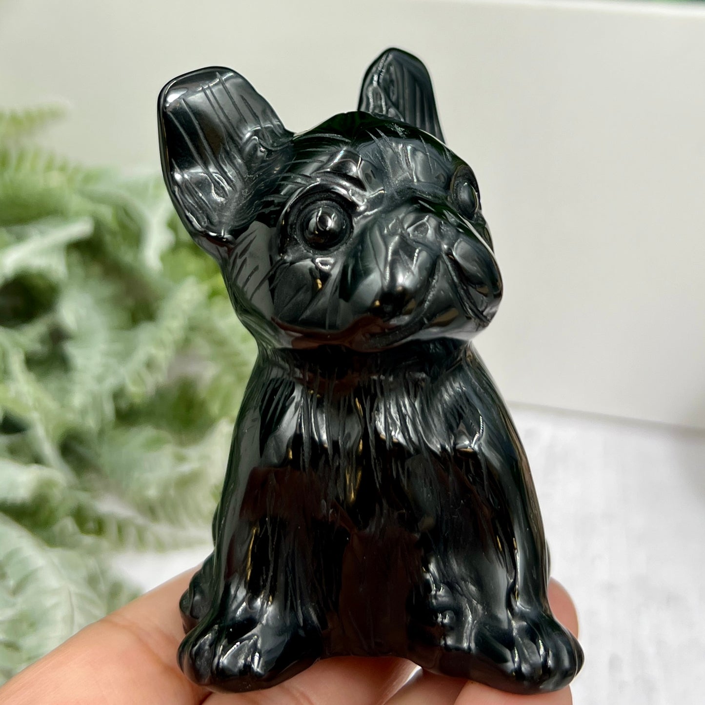 Black Obsidian French Bull Dog Puppy Animal Crystal Carving 190g