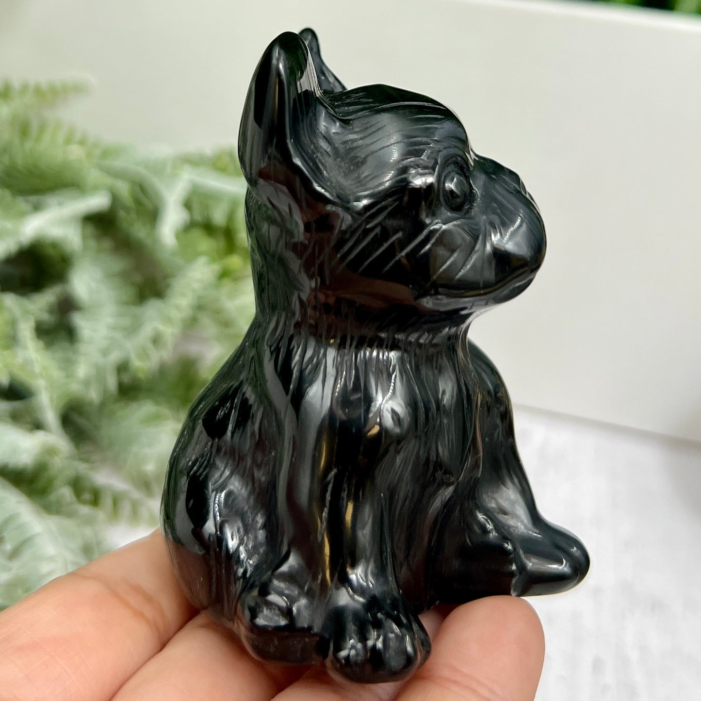 Black Obsidian French Bull Dog Puppy Animal Crystal Carving 190g