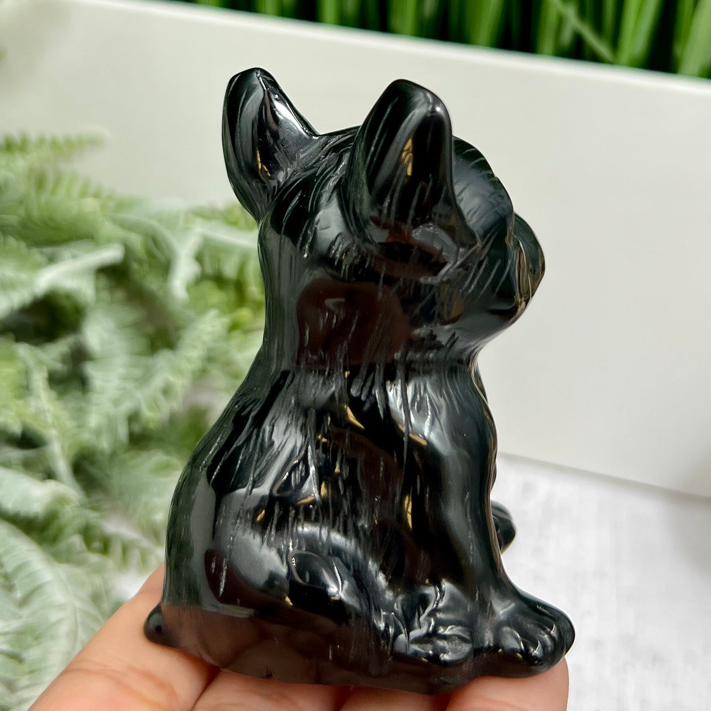 Black Obsidian French Bull Dog Puppy Animal Crystal Carving 190g
