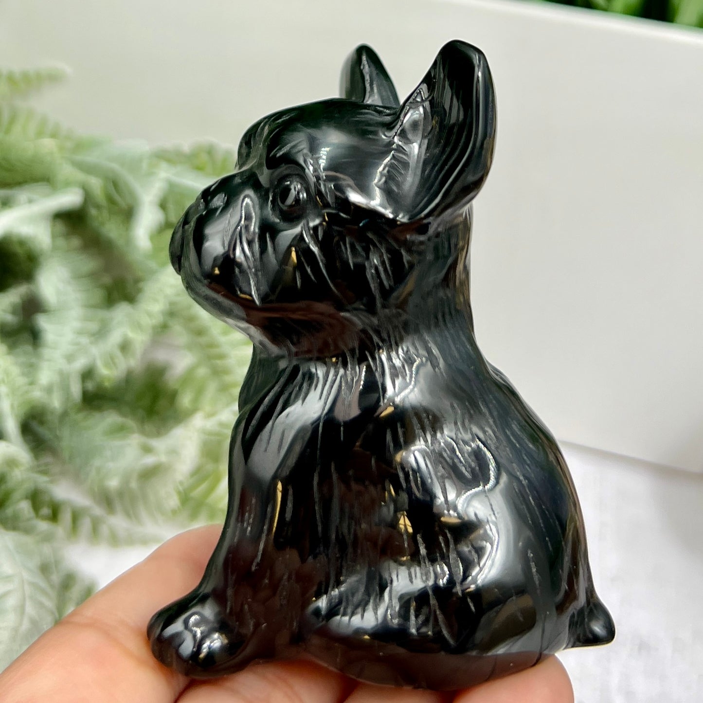 Black Obsidian French Bull Dog Puppy Animal Crystal Carving 190g