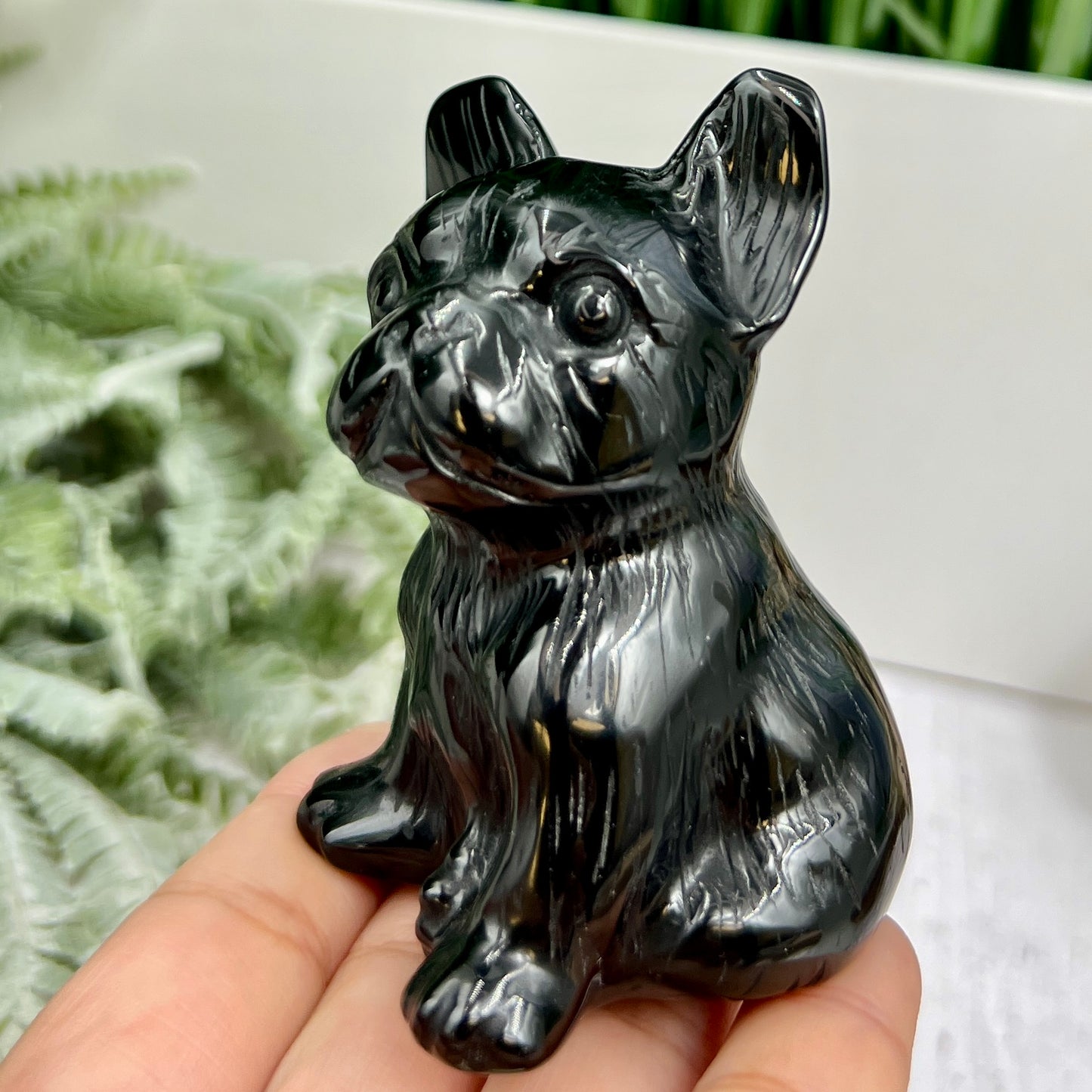 Black Obsidian French Bull Dog Puppy Animal Crystal Carving 190g