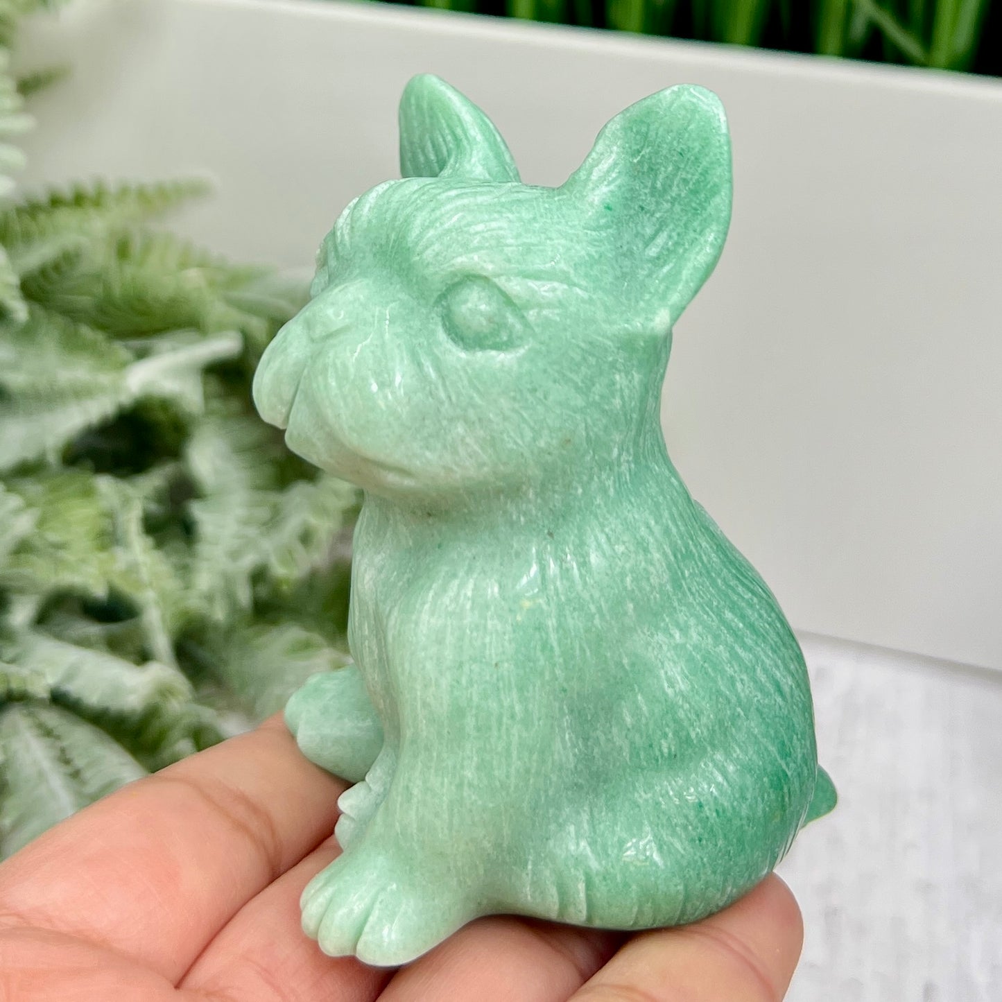 Amazonite French Bull Dog Puppy Animal Crystal Carving 218g