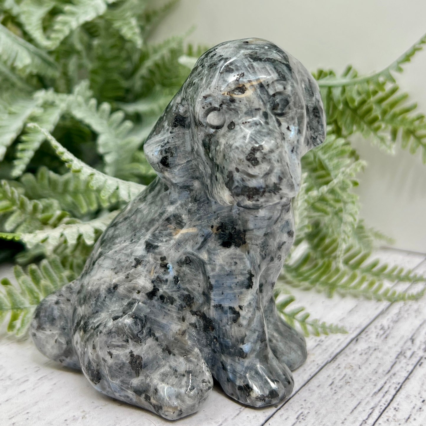 Larvikite Norwegian Moonstone Dog Labrador Puppy Animal Crystal Carving 436g
