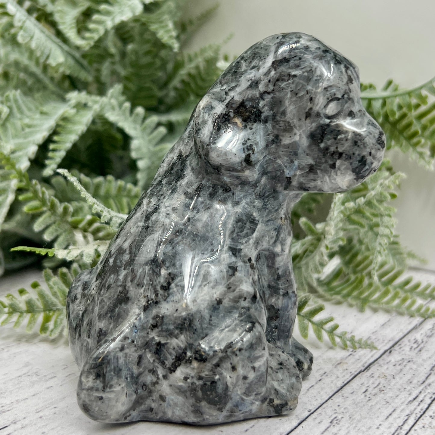 Larvikite Norwegian Moonstone Dog Labrador Puppy Animal Crystal Carving 436g