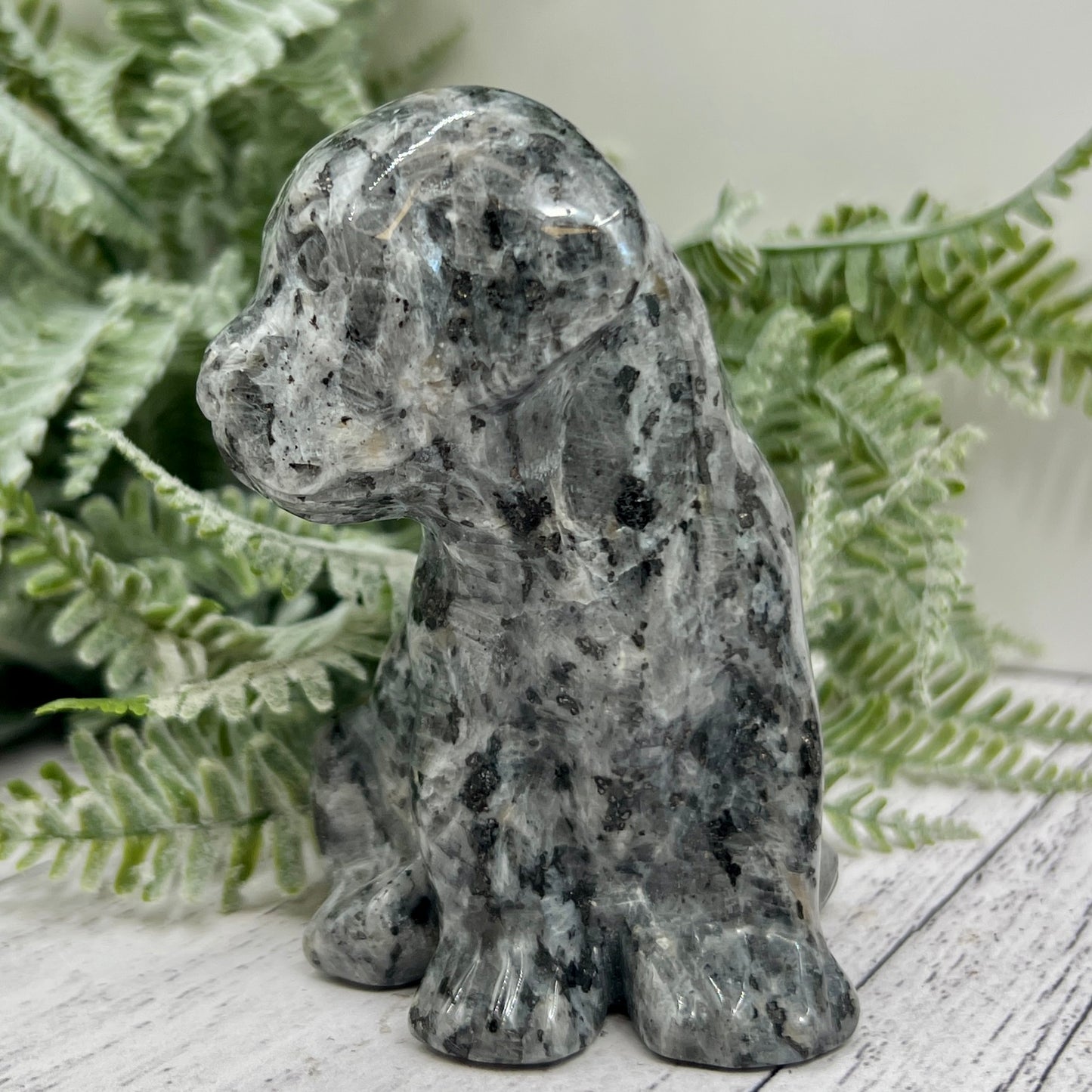 Larvikite Norwegian Moonstone Dog Labrador Puppy Animal Crystal Carving 436g