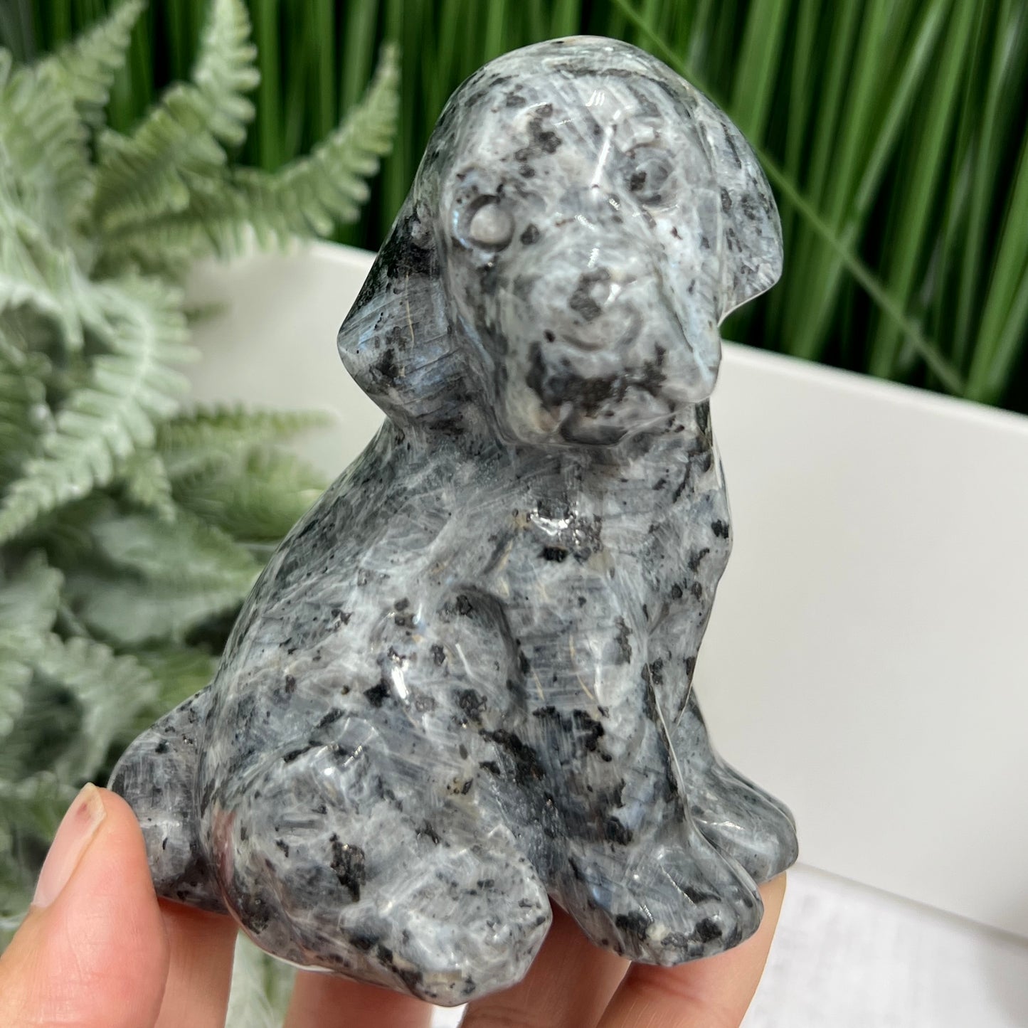 Larvikite Norwegian Moonstone Dog Labrador Puppy Animal Crystal Carving 436g