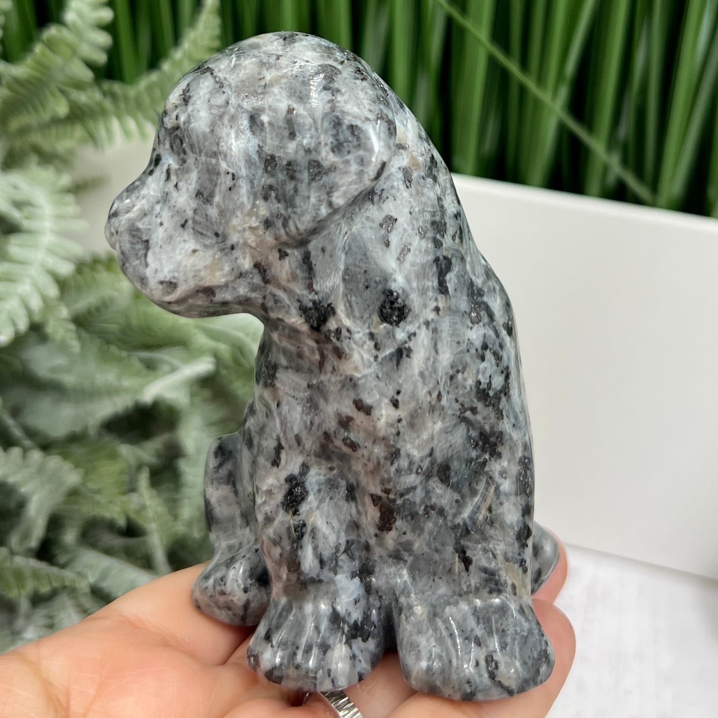 Larvikite Norwegian Moonstone Dog Labrador Puppy Animal Crystal Carving 436g