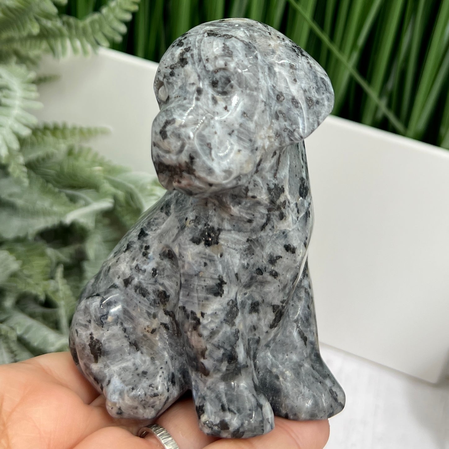 Larvikite Norwegian Moonstone Dog Labrador Puppy Animal Crystal Carving 436g