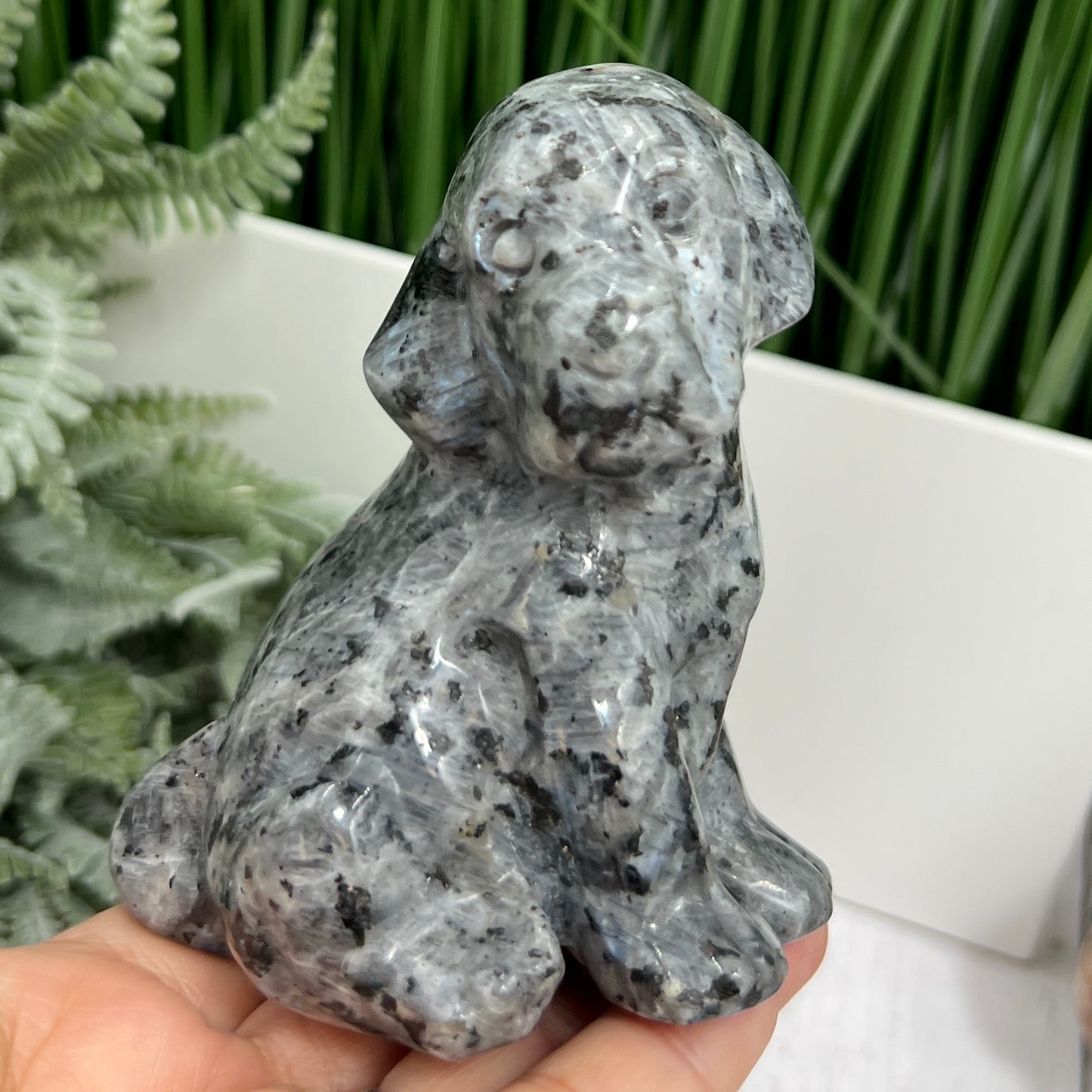 Larvikite Norwegian Moonstone Dog Labrador Puppy Animal Crystal Carving 436g