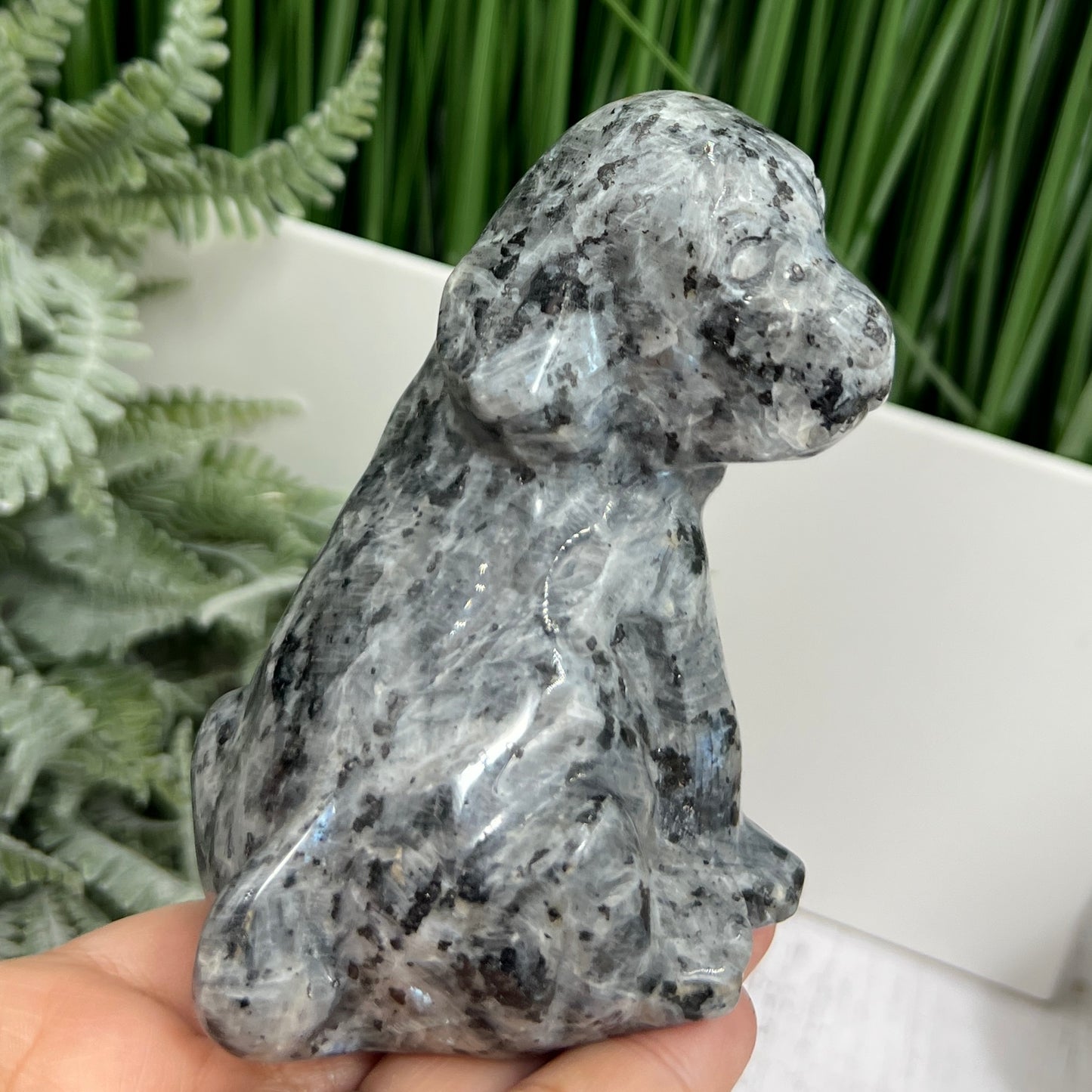 Larvikite Norwegian Moonstone Dog Labrador Puppy Animal Crystal Carving 436g