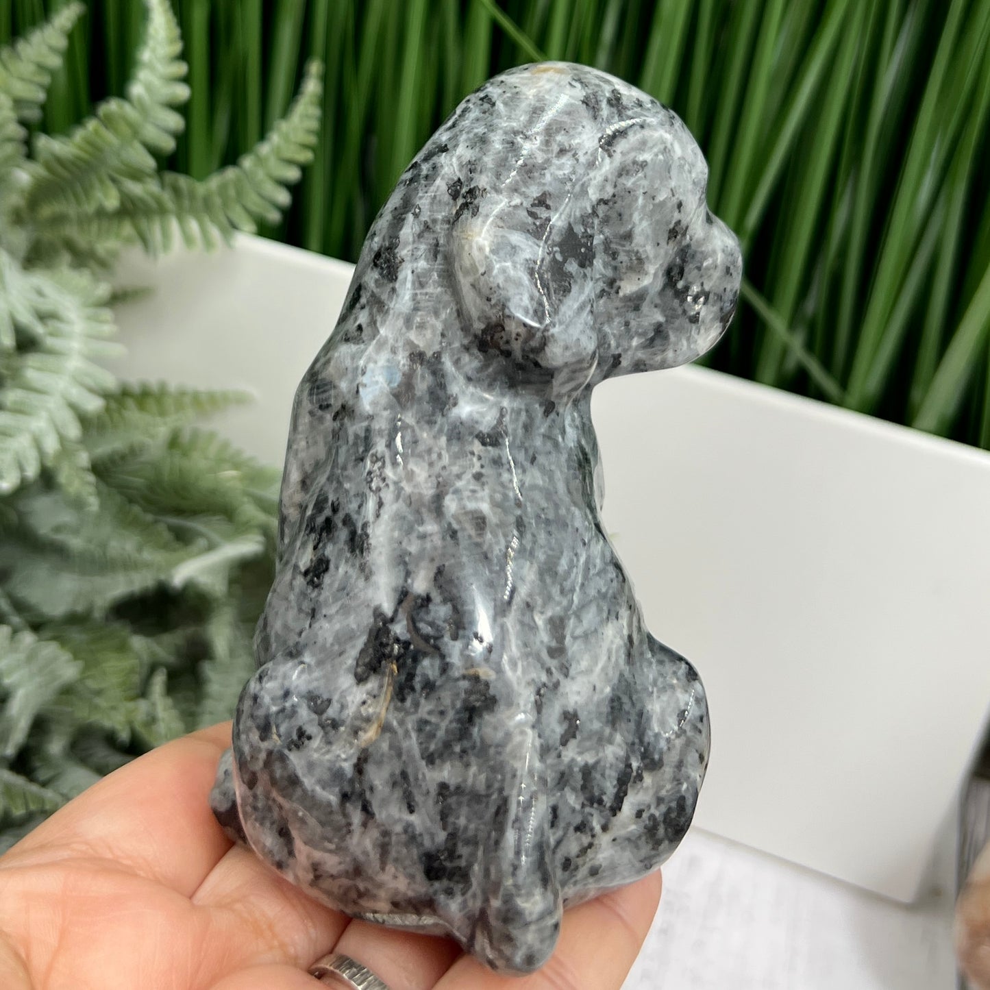 Larvikite Norwegian Moonstone Dog Labrador Puppy Animal Crystal Carving 436g