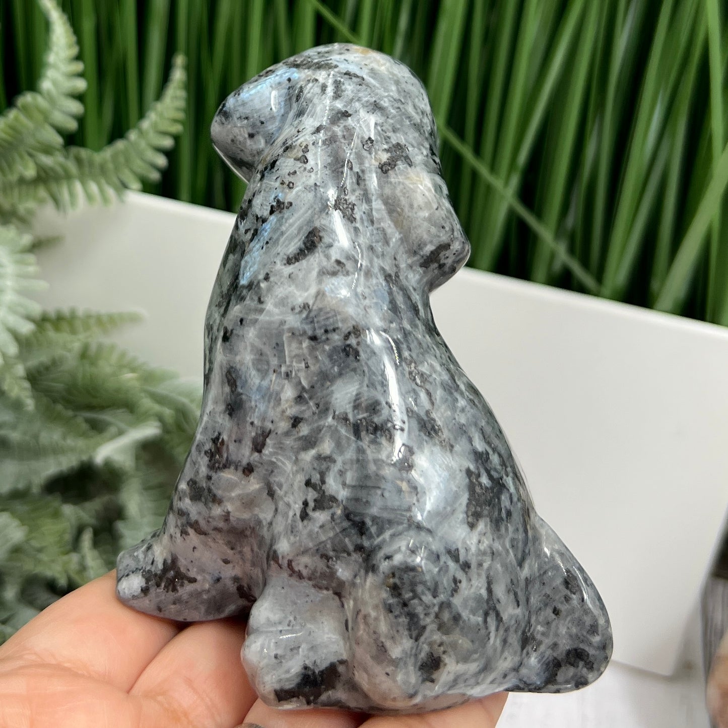 Larvikite Norwegian Moonstone Dog Labrador Puppy Animal Crystal Carving 436g