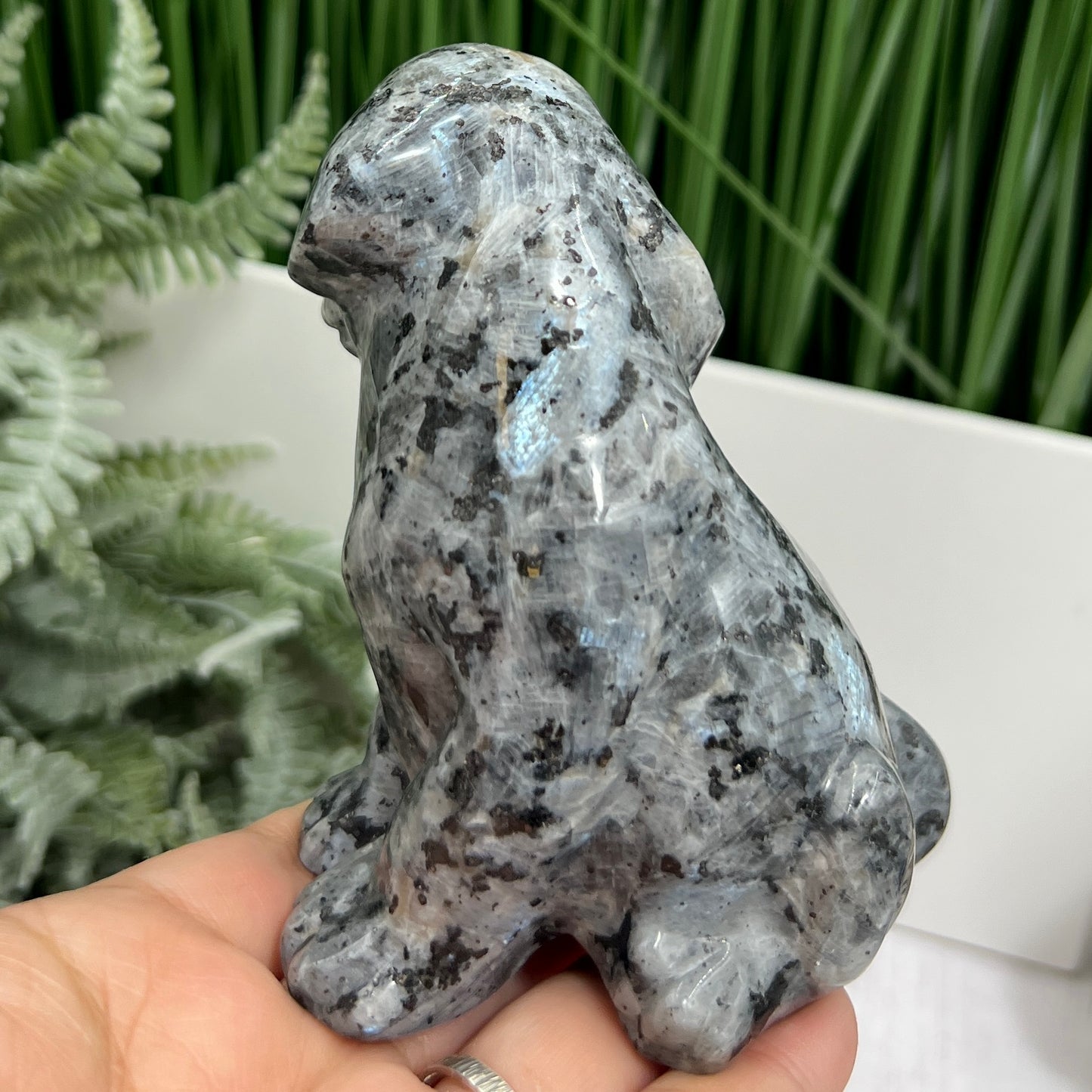 Larvikite Norwegian Moonstone Dog Labrador Puppy Animal Crystal Carving 436g