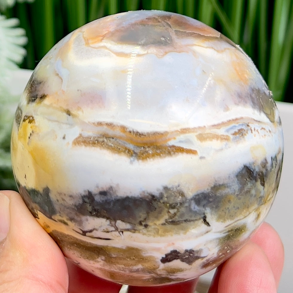 Ocean Sea Jasper Sphere Healing Crystal Ball 426g 67mm