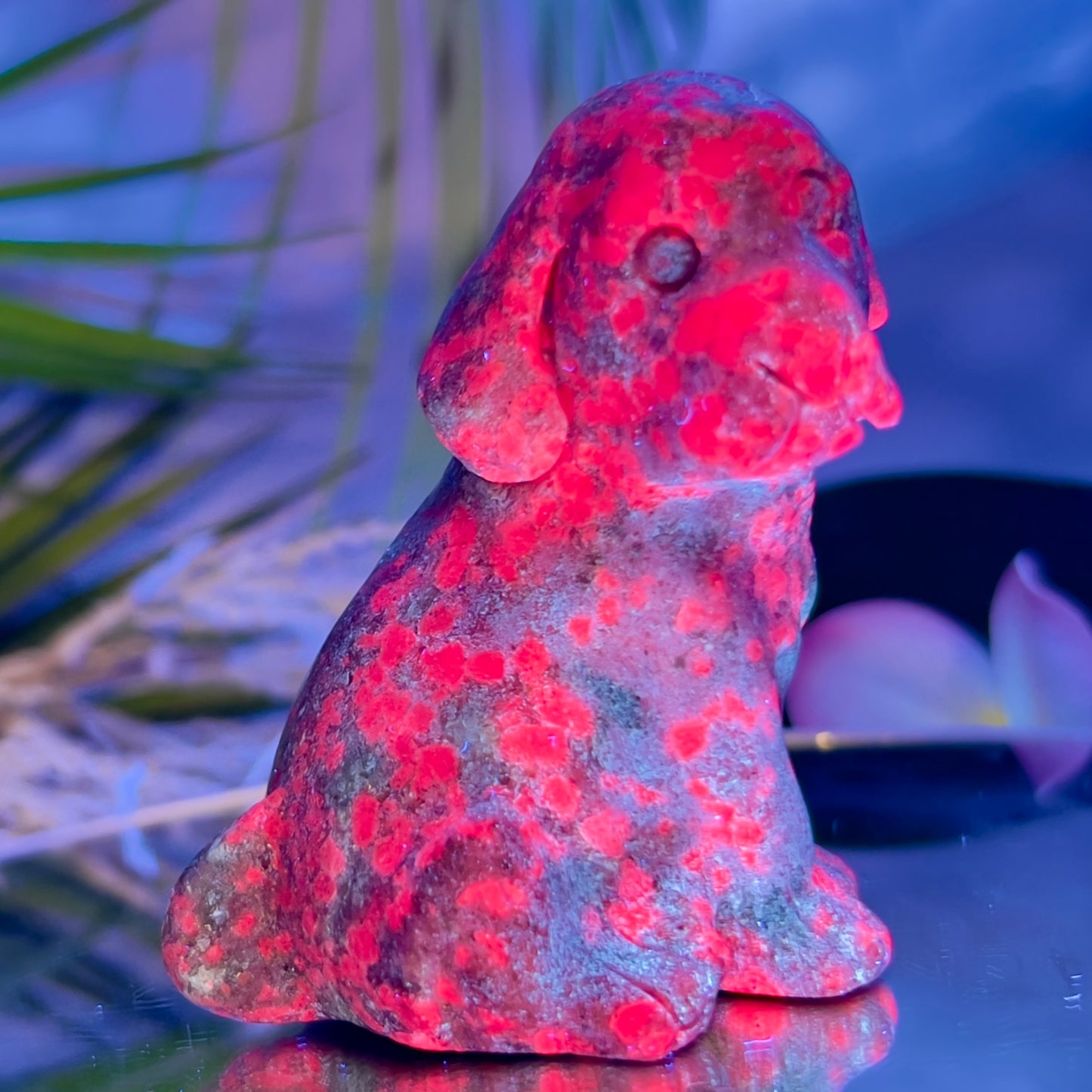 Ruby in Kyanite Zoisite Dog Labrador Puppy Animal UV Reactive Crystal 310g