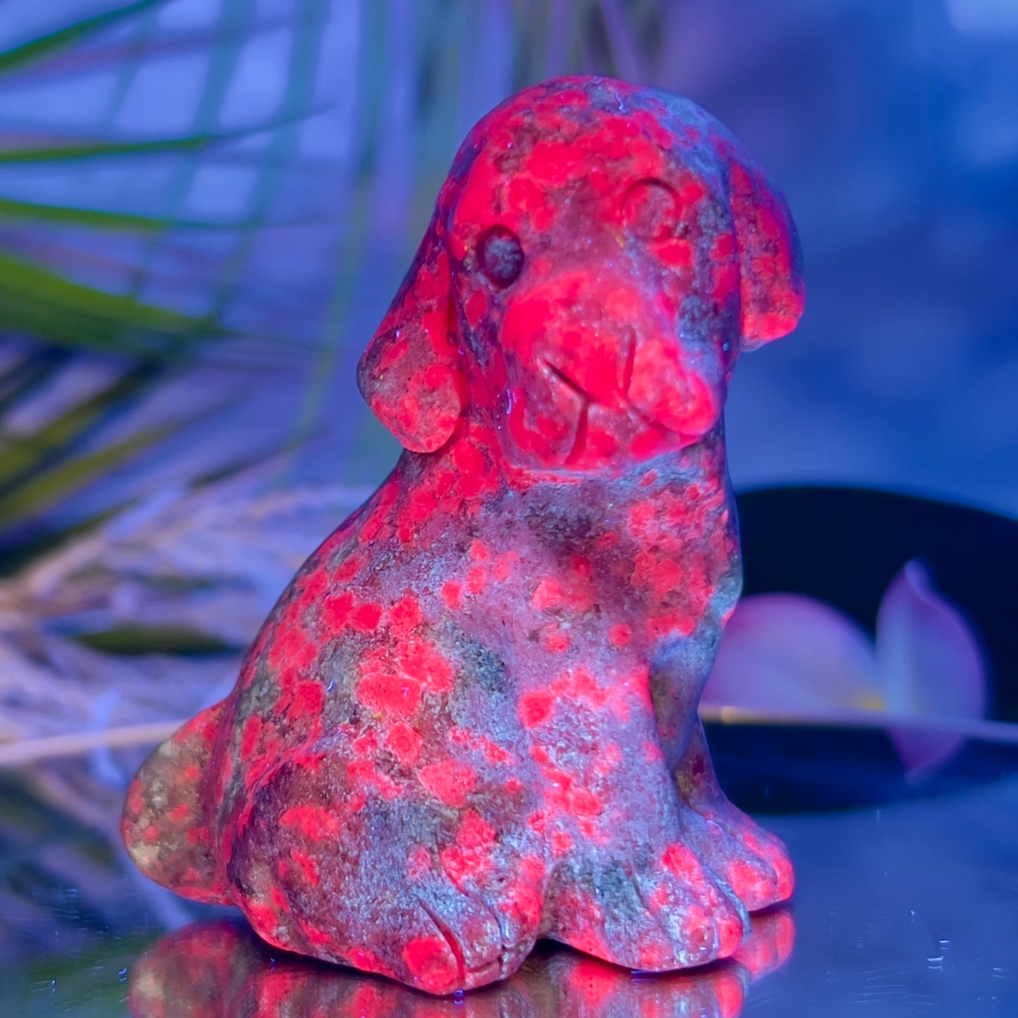 Ruby in Kyanite Zoisite Dog Labrador Puppy Animal UV Reactive Crystal 310g