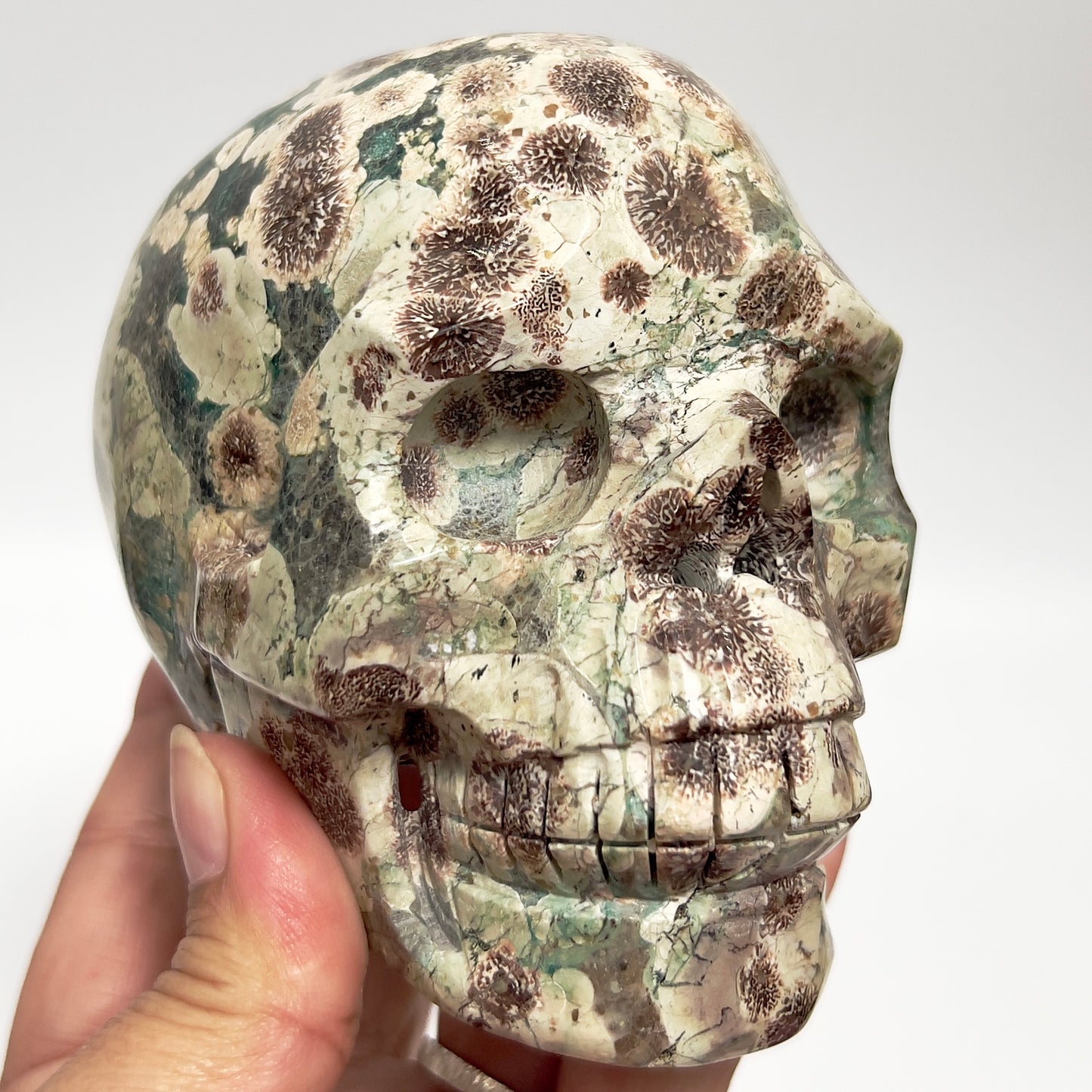 Russian Flower Cherry Blossom Jasper Hollow Jaw Skull Healing Crystal Carving 954g