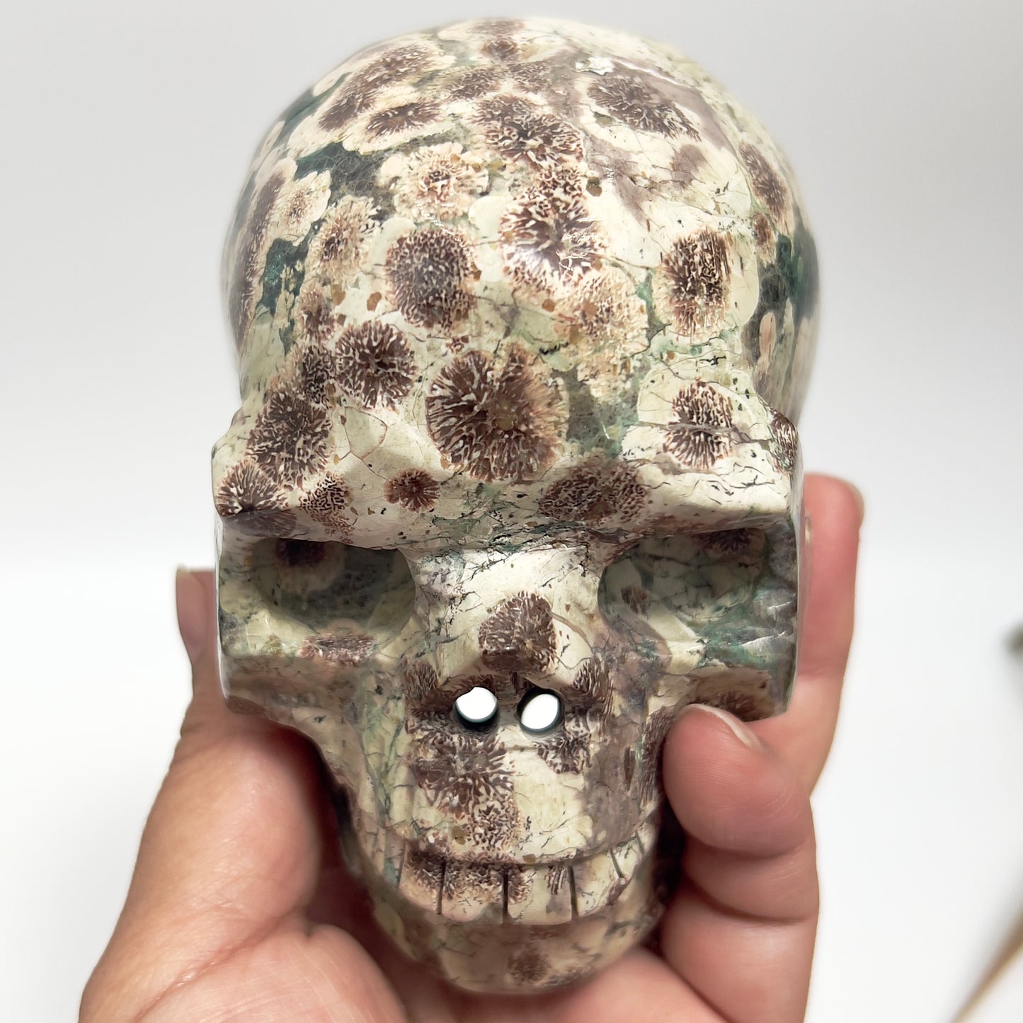 Russian Flower Cherry Blossom Jasper Hollow Jaw Skull Healing Crystal Carving 954g