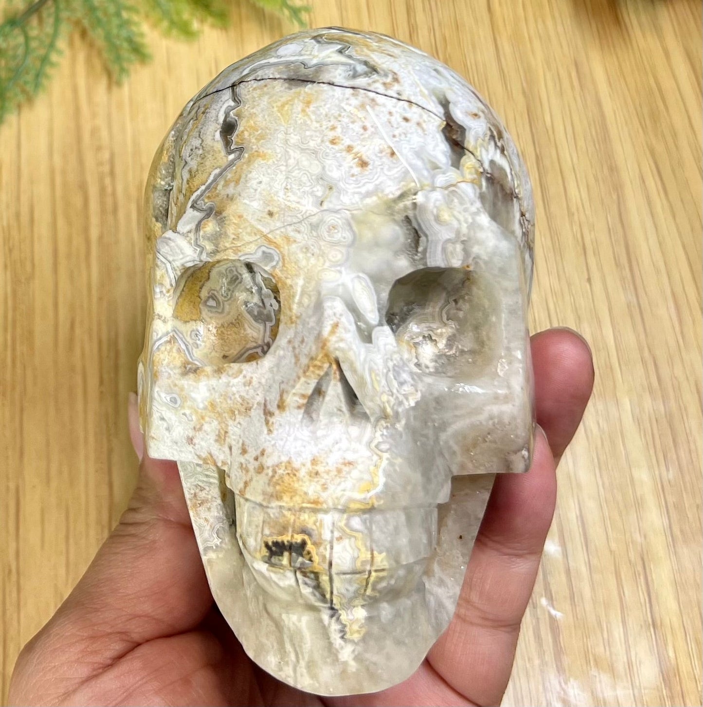 White Mexican Crazy Lace Agate Skull Crystal Skull Carving 974g