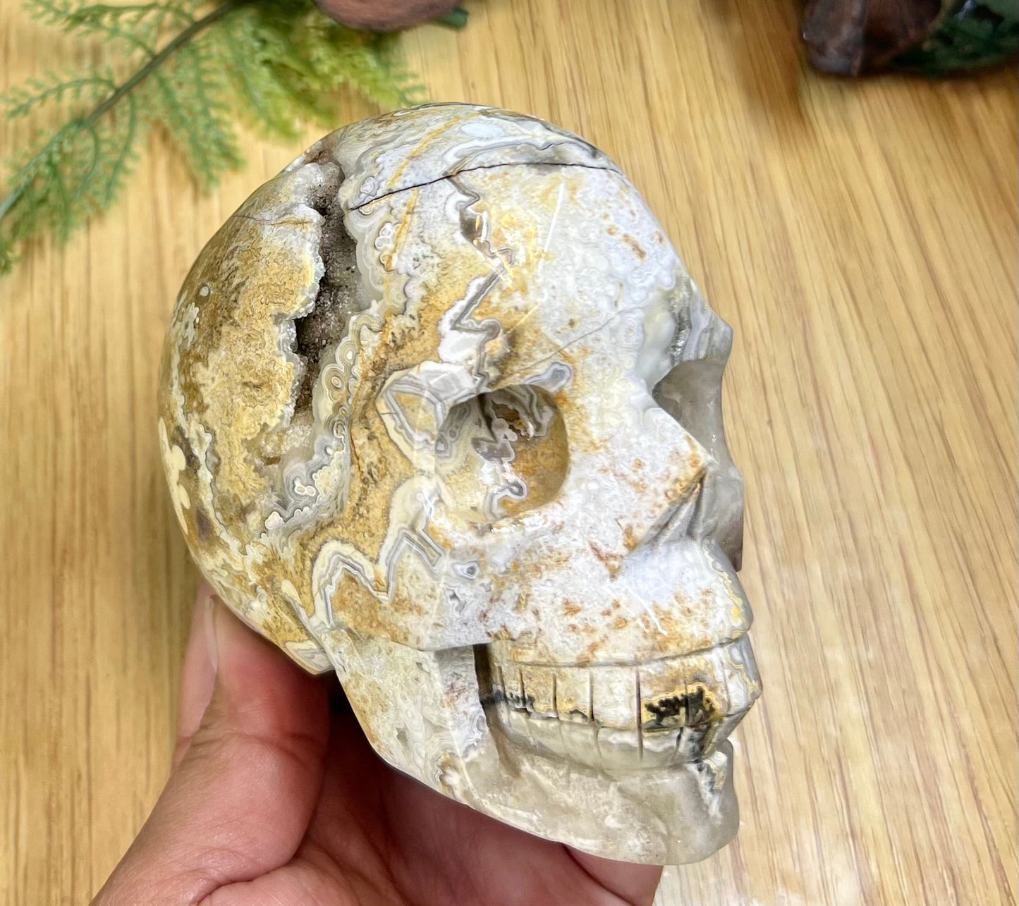 White Mexican Crazy Lace Agate Skull Crystal Skull Carving 974g