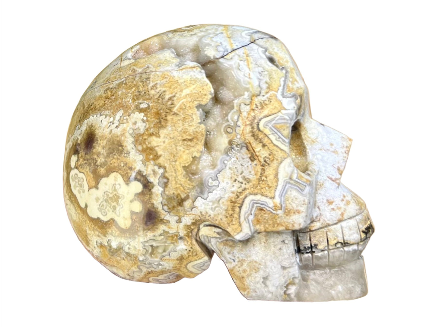 White Mexican Crazy Lace Agate Skull Crystal Skull Carving 974g
