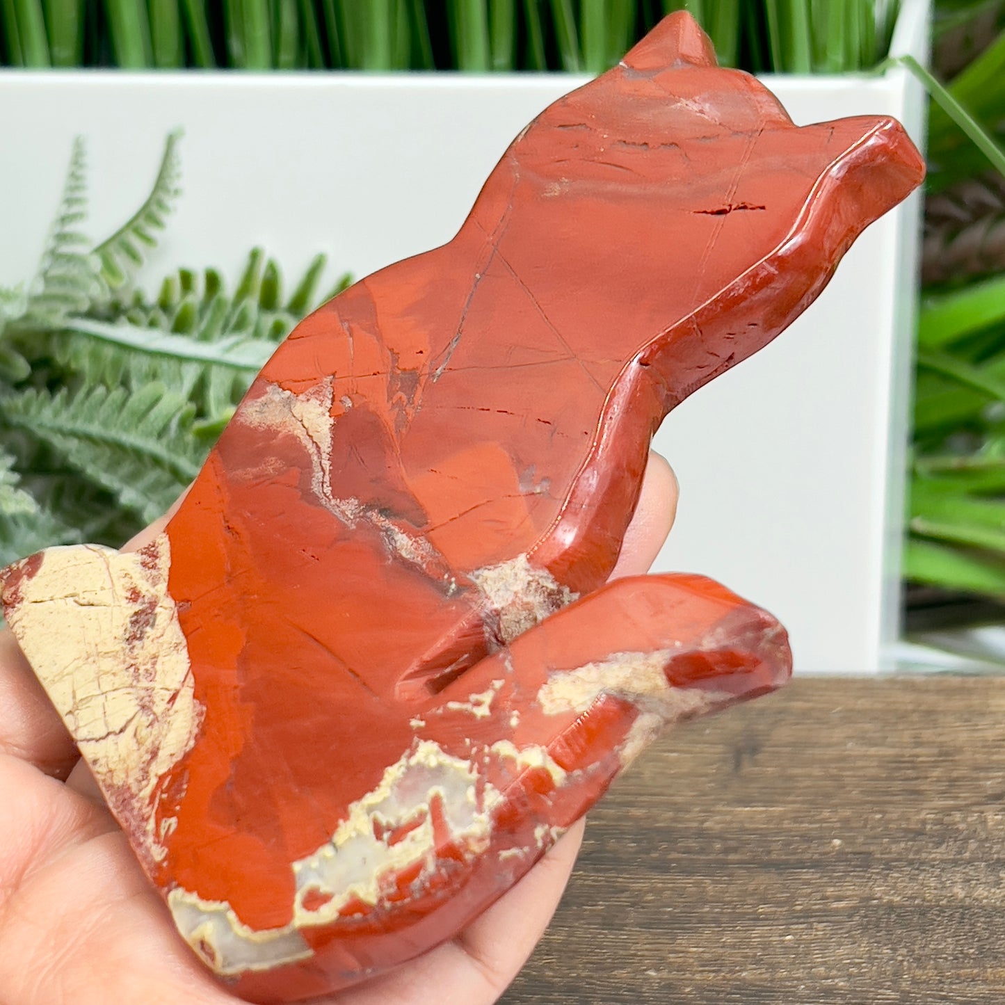 Red Jasper Kitty Cat Healing Crystal Animal Carving 181g