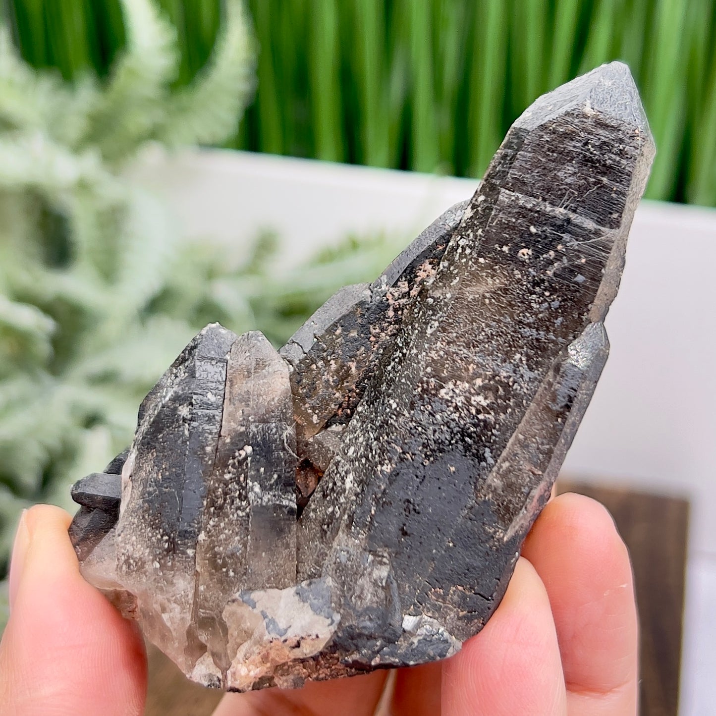 Smoky Quartz Cluster Natural Raw Specimen Crystal 110g