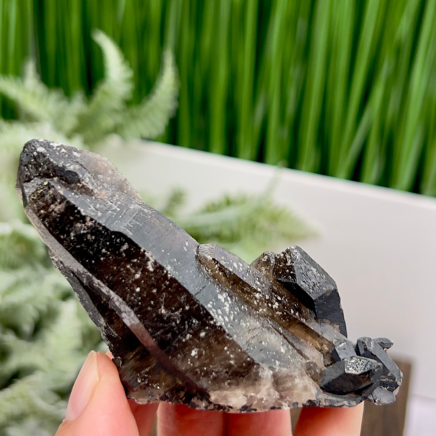 Smoky Quartz Cluster Natural Raw Specimen Crystal 110g