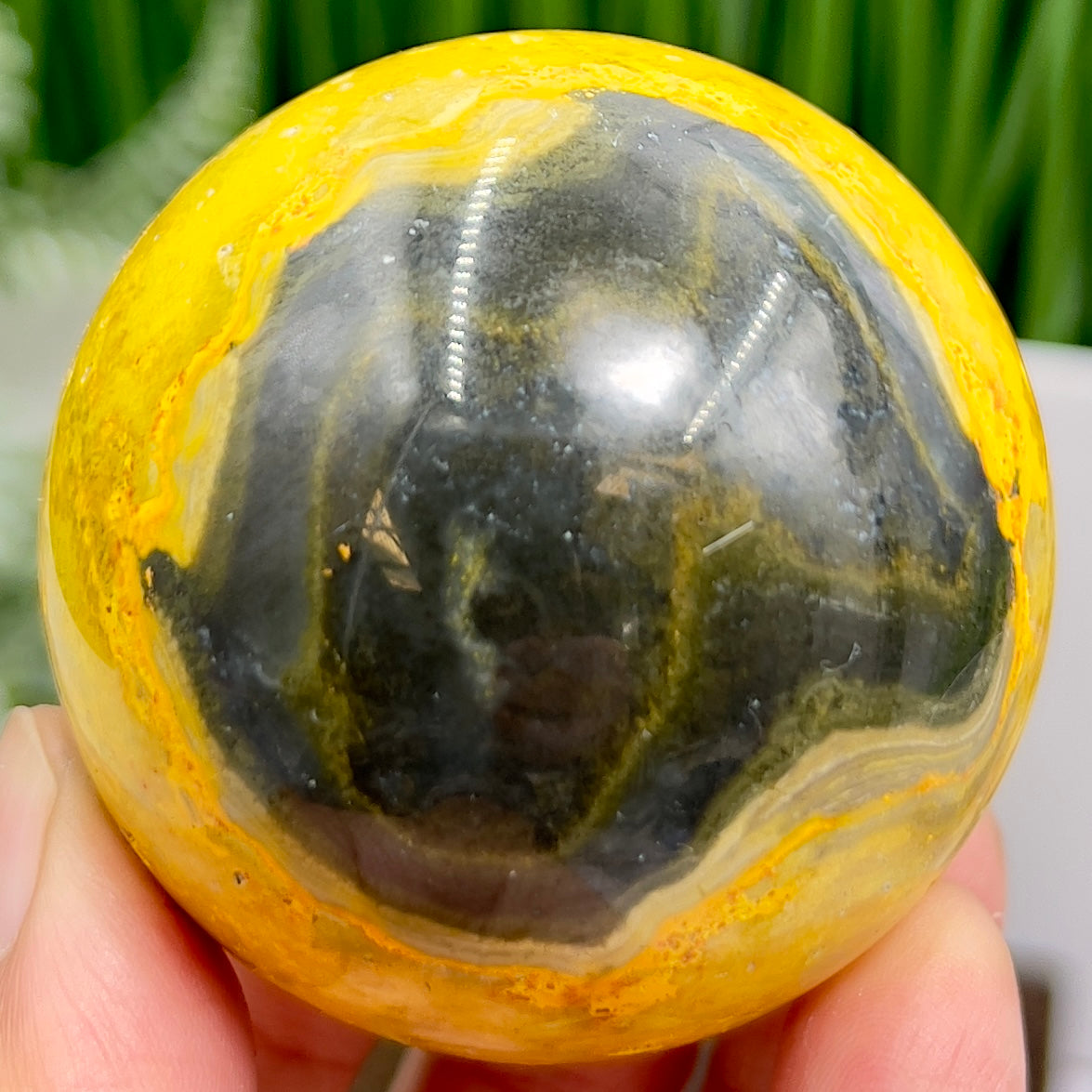 Bumblebee Jasper Sphere Healing Crystal Ball 238g 56mm