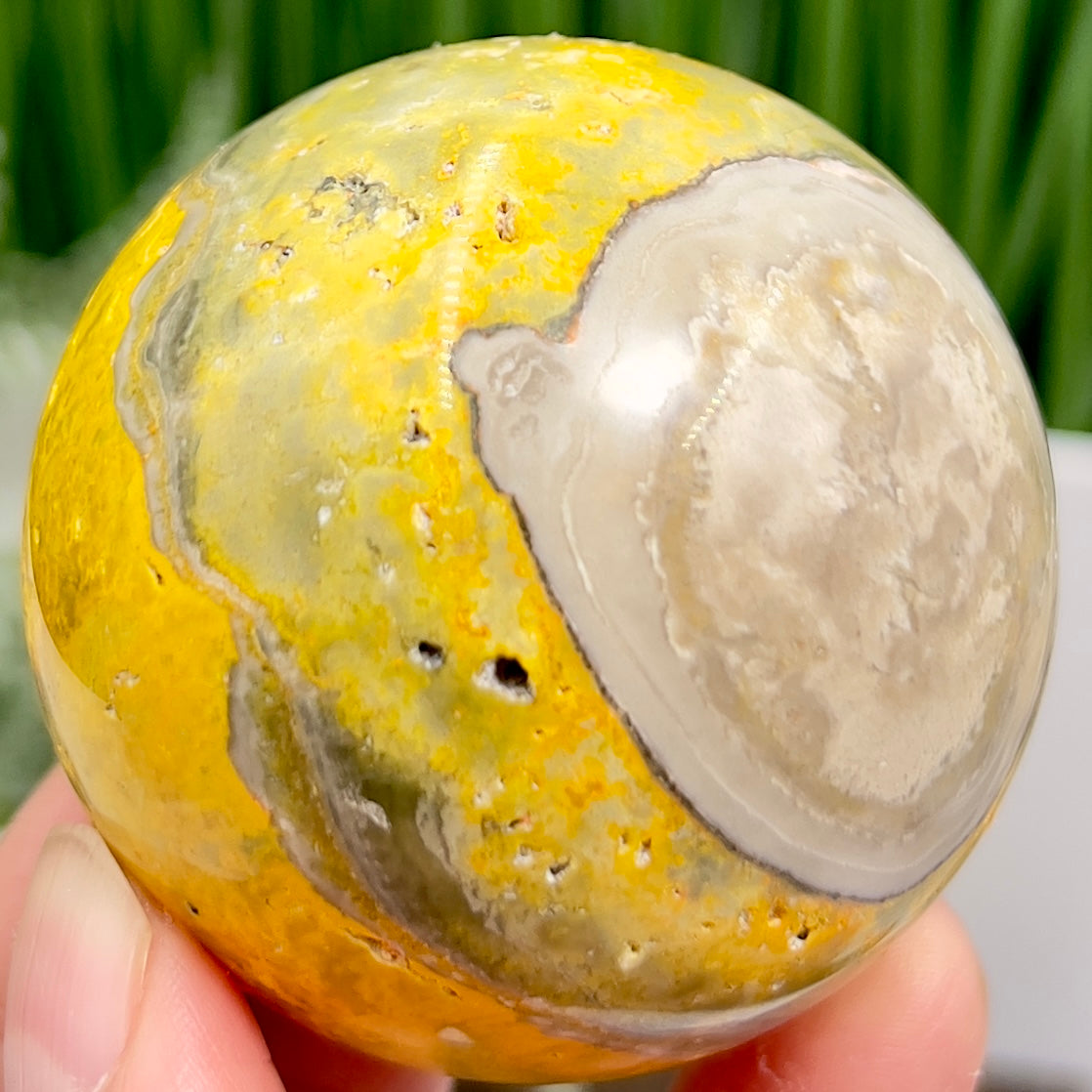 Bumblebee Jasper Sphere Healing Crystal Ball 238g 56mm
