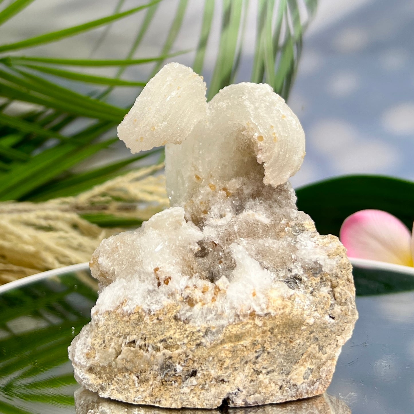 Rams Horn Selenite Gypsum RARE Raw Specimen Natural Crystal 464g