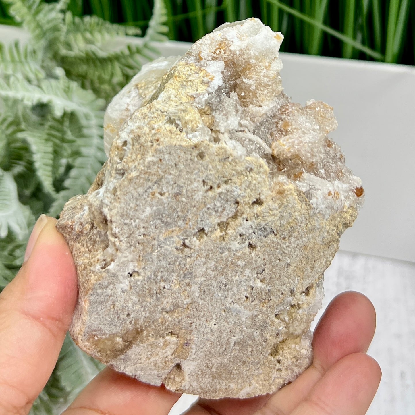 Rams Horn Selenite Gypsum RARE Raw Specimen Natural Crystal 464g