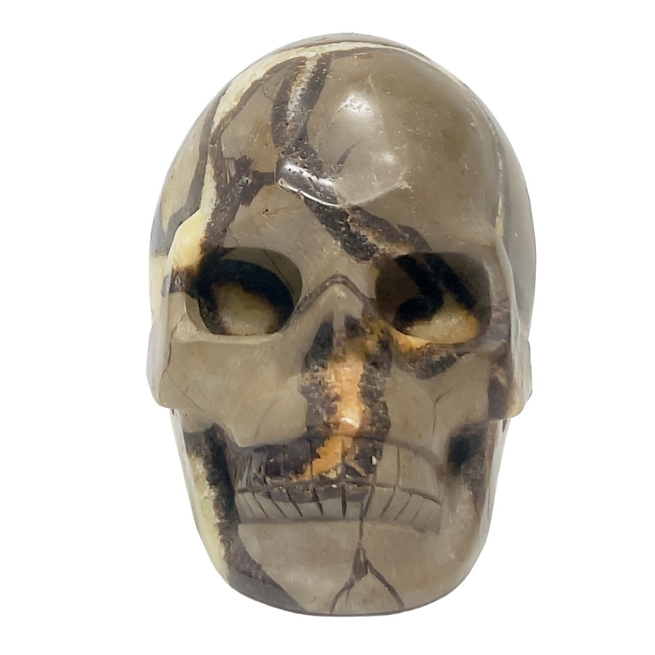 Septarian Jasper Dragon Stone Skull Healing Crystal Carving 1032g
