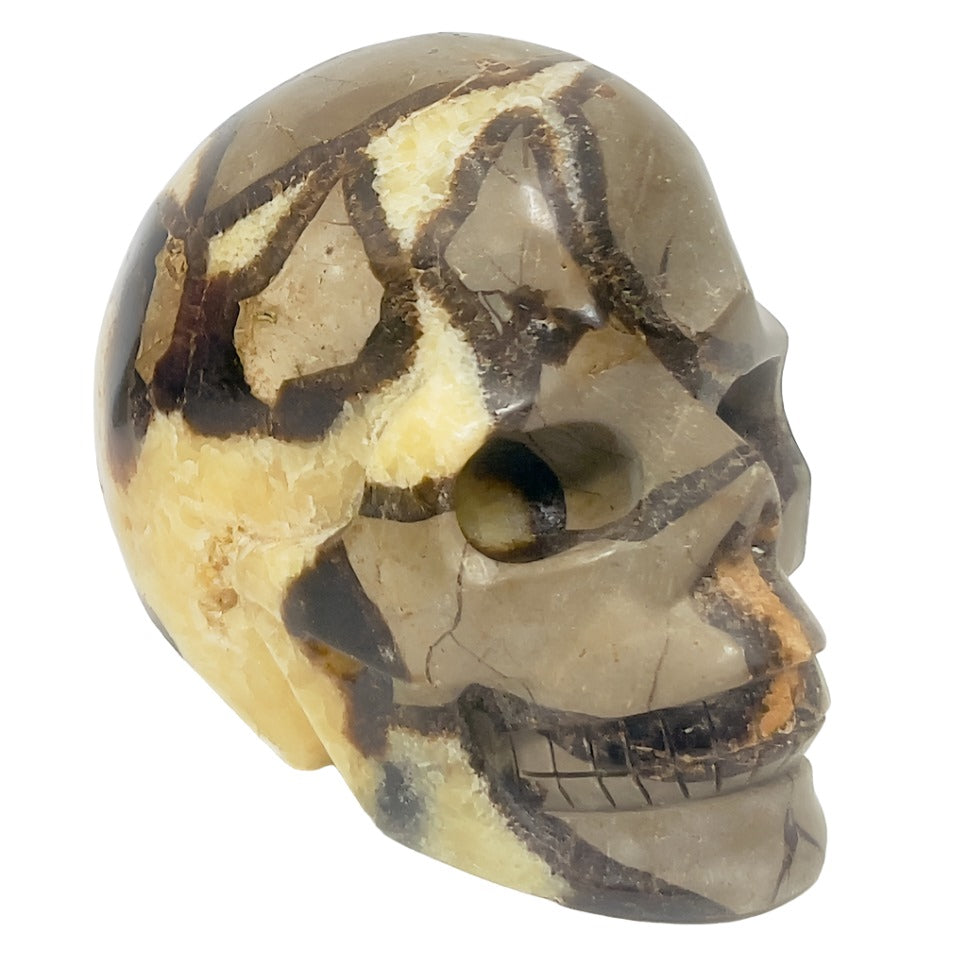 Septarian Jasper Dragon Stone Skull Healing Crystal Carving 1032g