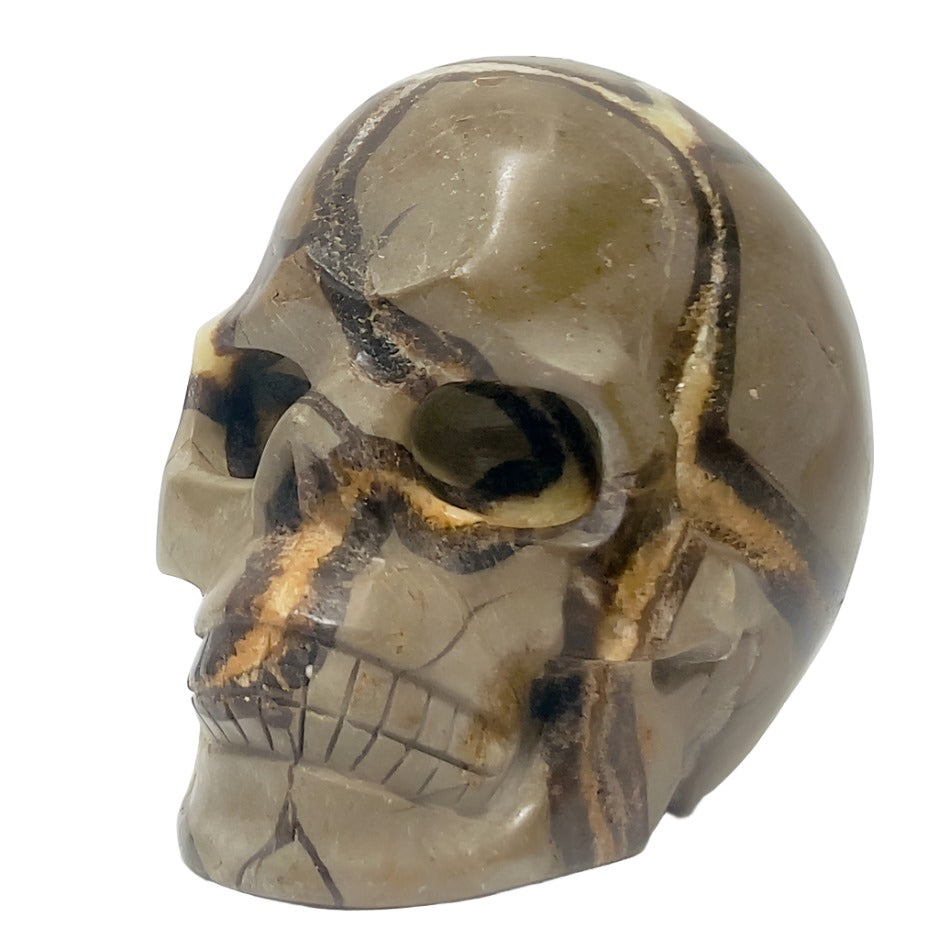 Septarian Jasper Dragon Stone Skull Healing Crystal Carving 1032g
