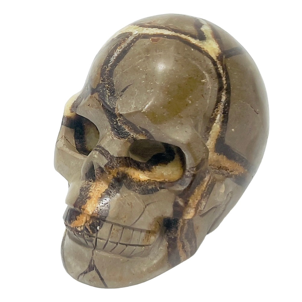 Septarian Jasper Dragon Stone Skull Healing Crystal Carving 1032g